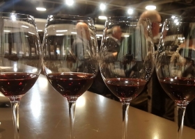 PGIA 2019 AGM and Wine Tasting